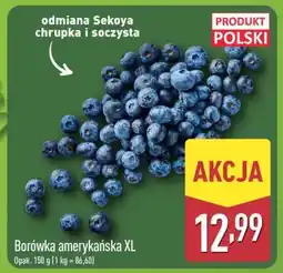 ALDI Borówka amerykańska XL oferta