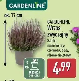 ALDI GARDENLINE oferta