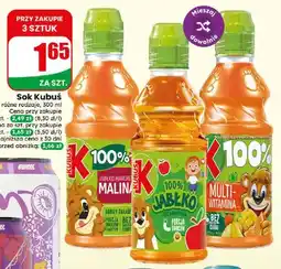 Dino Sok Kubuś jabłko marchew malina oferta