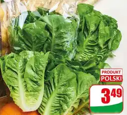 Dino Sałata rzymska mini oferta