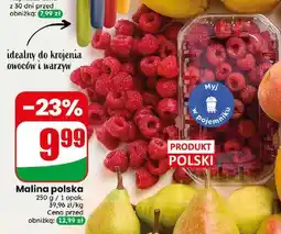 Dino Maliny polskie oferta