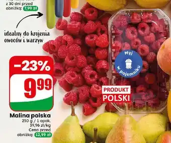 Dino Maliny polskie oferta