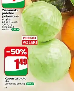 Dino Kapusta biała oferta