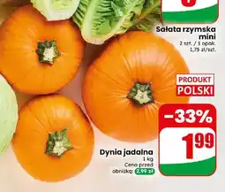 Dino Dynia jadalna oferta