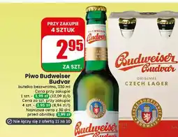 Dino Piwo Budweiser Budvar oferta