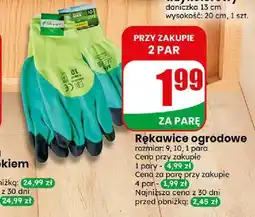 Dino Rękawice ogrodowe oferta