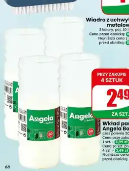 Dino Wkład parafinowy Angela Bolsius oferta