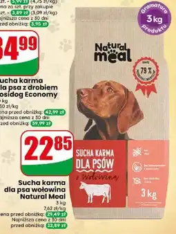 Dino Sucha karma dla psa wołowina Natural Meal oferta