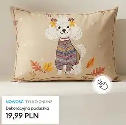 Sinsay Dekoracyjna poduszka oferta