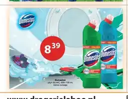 Drogerie Laboo Płyn do WC Domestos oferta