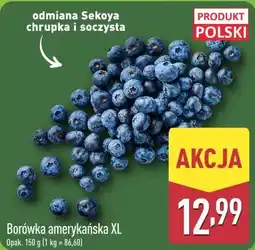 ALDI Borówka amerykańska XL oferta