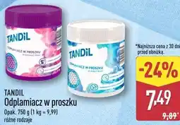 ALDI Tandil Odplamiacz w proszku oferta