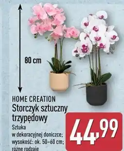 ALDI HOME CREATION Storczyk sztuczny trzypędowy oferta