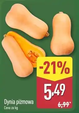 ALDI Dynia piżmowa oferta