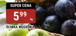 bi1 Śliwka węgierka oferta