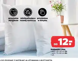 Netto Poduszka Lima 40x40 cm oferta