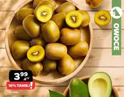 Netto Kiwi Gold oferta