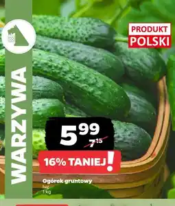 Netto Ogórki gruntowe polskie oferta