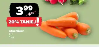 Netto Marchew oferta