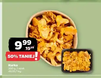 Netto Kurki oferta