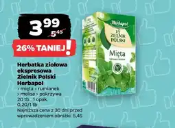 Netto Herbatka ziołowa ekspresowa Zielnik Polski Herbapol mięta oferta