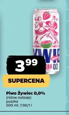 Netto Piwo bezalkoholowe Żywiec oferta