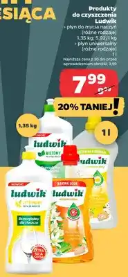 Netto Płyn do mycia naczyń cytrynowy Ludwik oferta