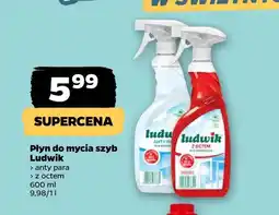 Netto Płyn do mycia szyb antypara Ludwik oferta