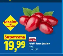 Lidl Dereń polski jadalny oferta