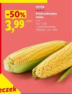 Lidl Kukurydza polska świeża oferta