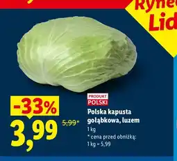 Lidl Kapusta polska gołąbkowa oferta