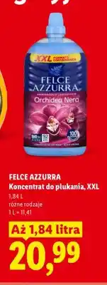 Lidl Koncentrat do płukania XXL Felce Azzurra oferta