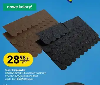 Gont karpiówka Nexler