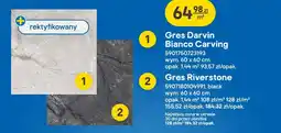 Castorama Gres Riverstone black oferta