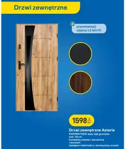 Castorama Drzwi zewnętrzne Asteria oferta
