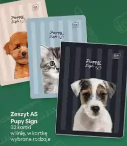 Delikatesy Centrum Zeszyt A5 Pupy Sign oferta