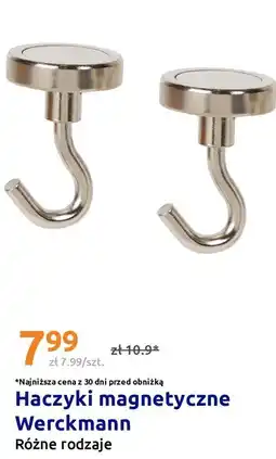 Action Haczyki magnetyczne Werckmann oferta