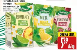 Hala Wola Herbata Zielnik Polski Herbapol wybrane rodzaje oferta
