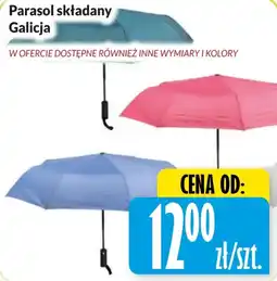 Hala Wola Parasol składany Galicja oferta