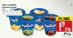 Hala Wola Jogurt Jogobella wybrane rodzaje oferta