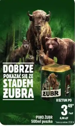 TomiMarkt Piwo Żubr oferta