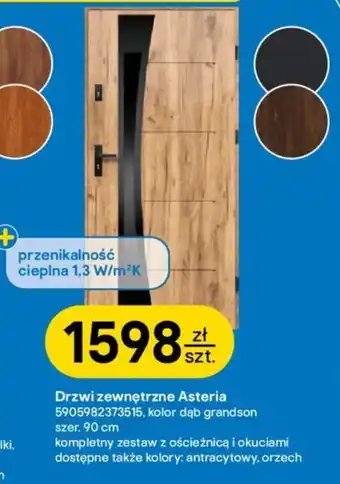 Drzwi zewnętrzne Asteria