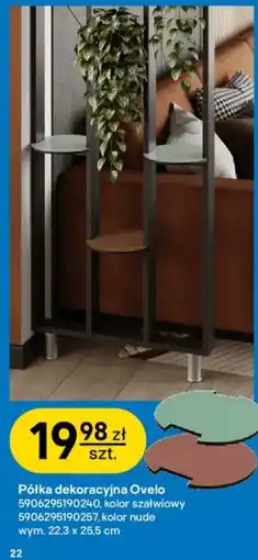 Castorama Półka dekoracyjna Ovelo oferta