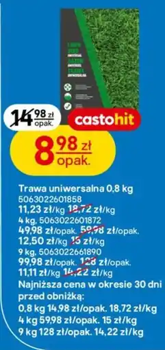 Castorama Trawa uniwersalna castohit oferta