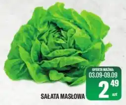 TomiMarkt Sałata Masłowa oferta