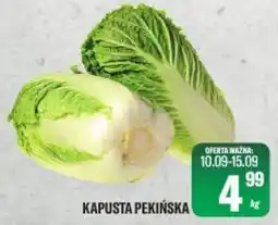 TomiMarkt Kapusta Pekin'ska oferta