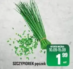TomiMarkt SZCZYPIOREK pęczek oferta
