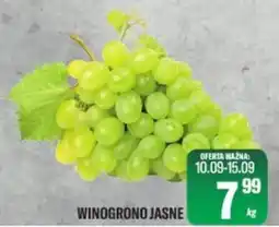 TomiMarkt Winogrono Jasne oferta