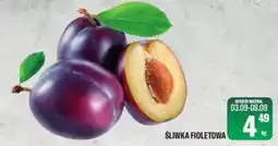 TomiMarkt Śliwka Fioletowa oferta