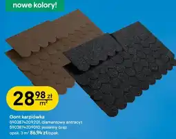 Castorama Gont karpiówka oferta